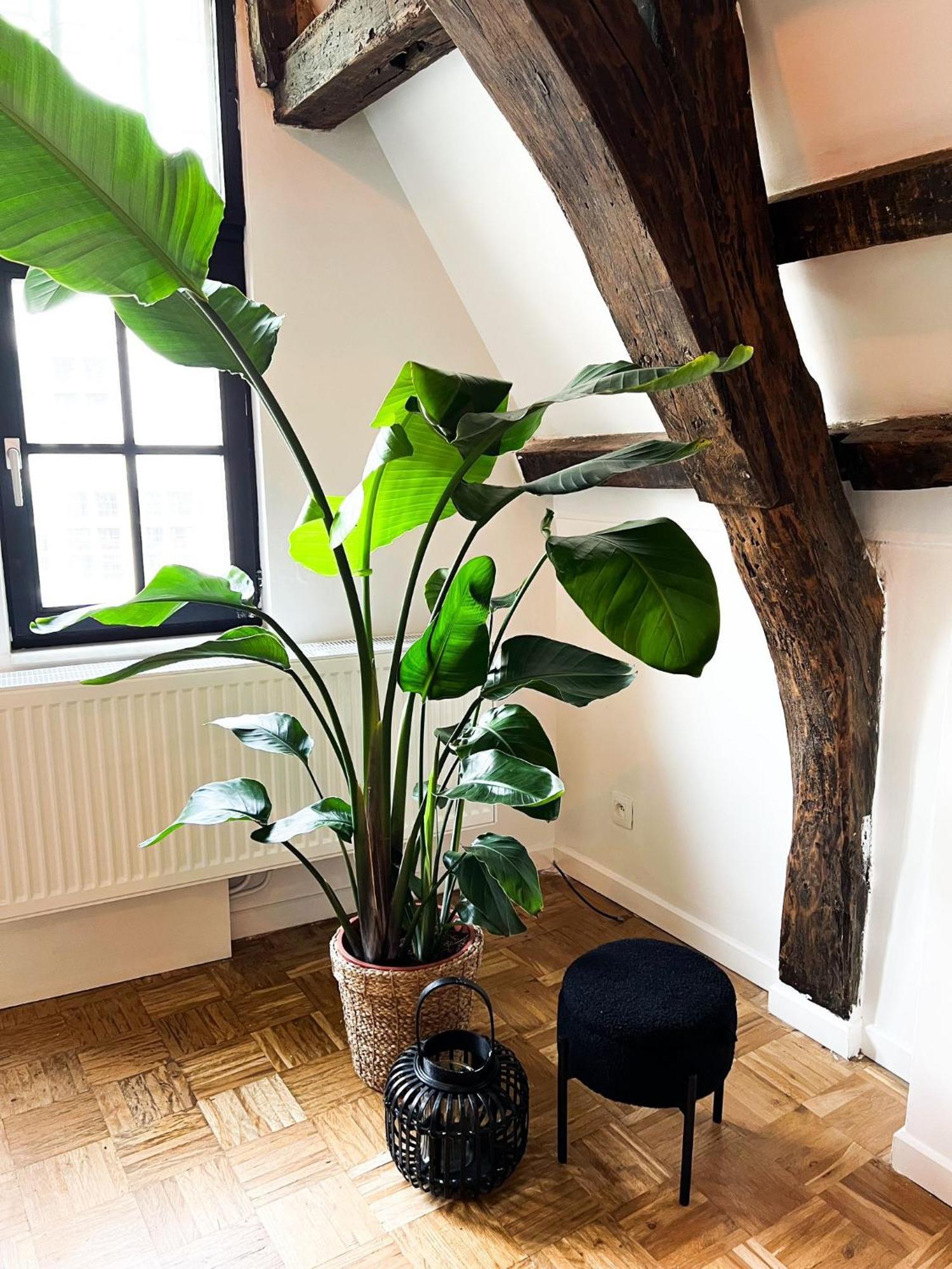 Nammos Home'S Anvers Exterior foto
